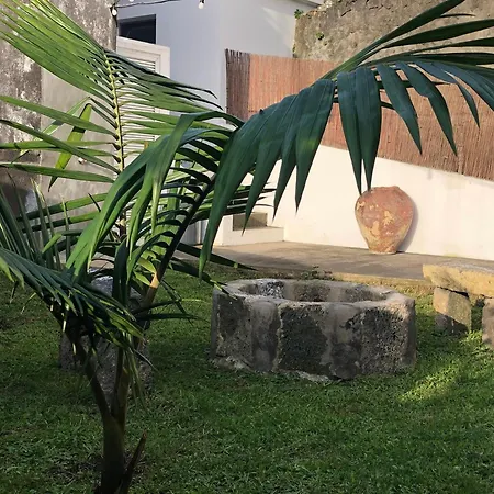 Comfortable House In Ribeira Grande, Pleasant Garden Casa vacanze